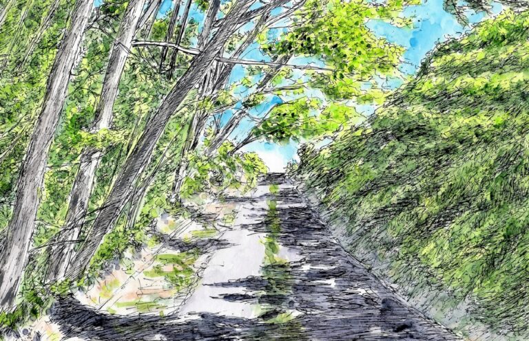 最短ルートを目指さないようにしたい