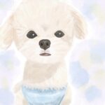 あろえ
