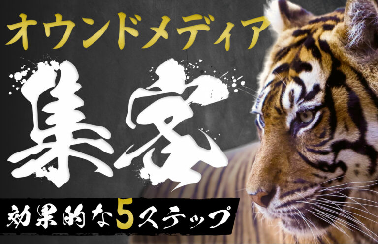 オウンドメディア集客に効果的な5つのステップ｜成功するポイントも解説
