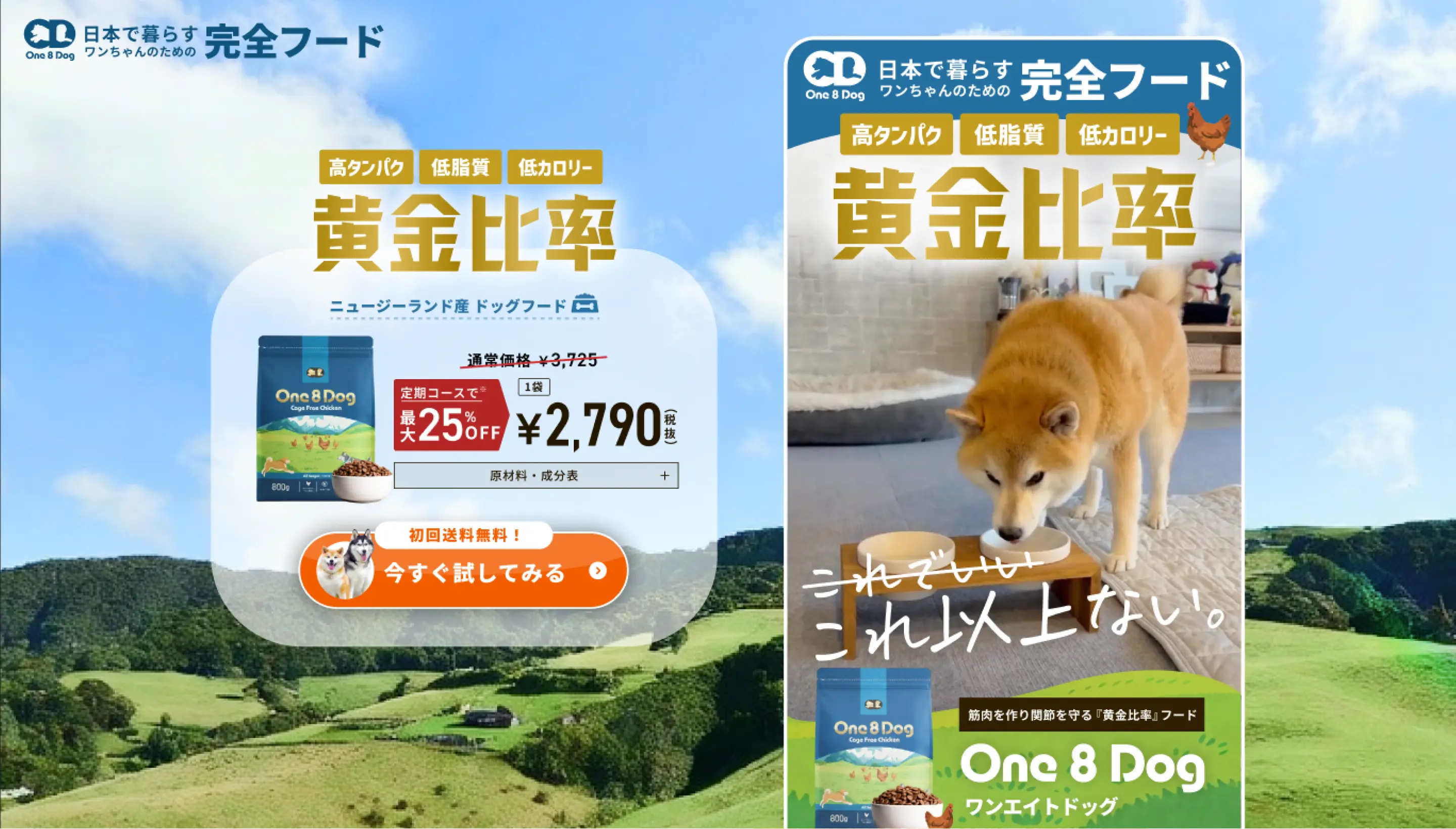 ドッグフード販売LP